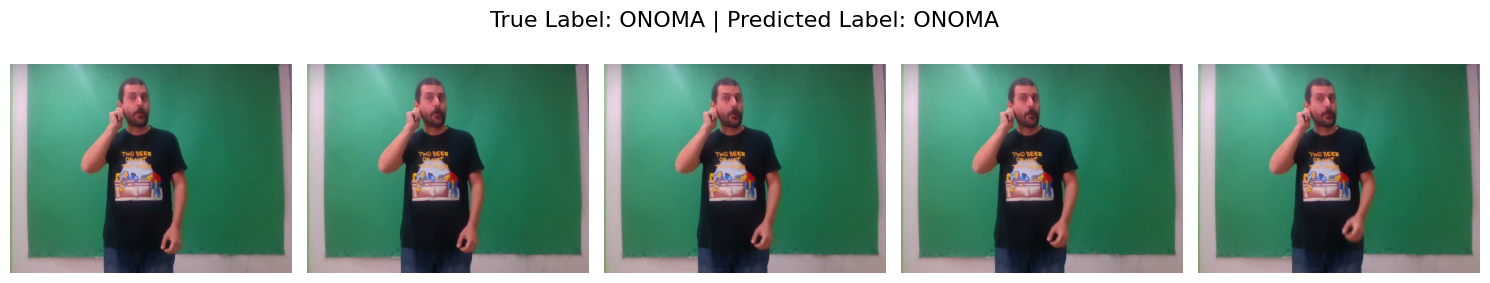 Example of the model output.