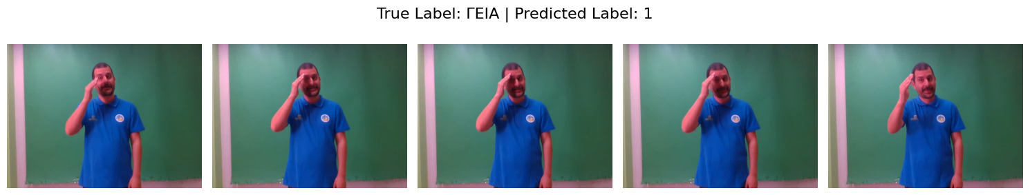 Example of the model output.