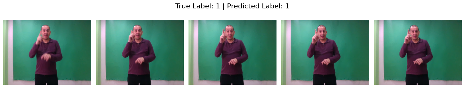 Example of the model output.